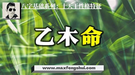 乙木人八字|乙木的具体分析 乙木命理分析